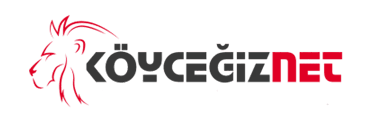 KöyceğizNet